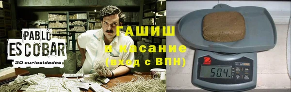 индика Вязники