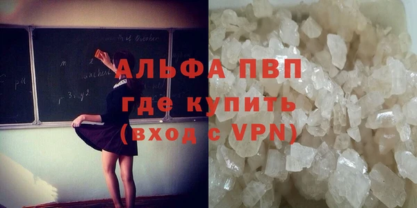 индика Вязники
