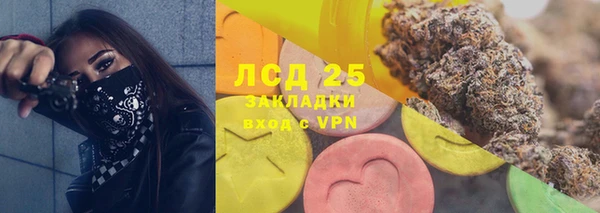 индика Вязники