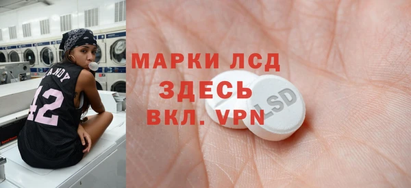 индика Вязники