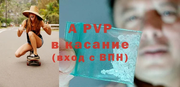 индика Вязники