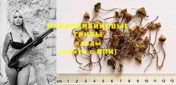 индика Вязники