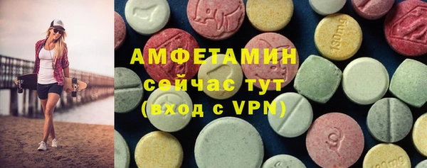 индика Вязники