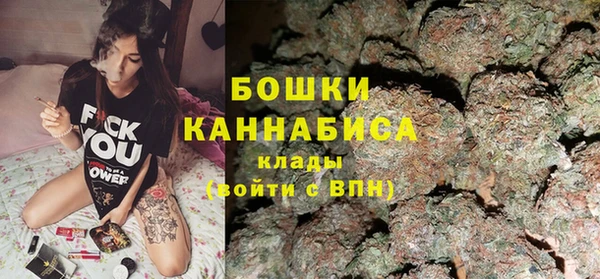 индика Вязники