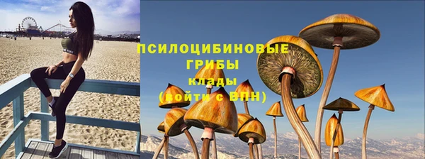 индика Вязники