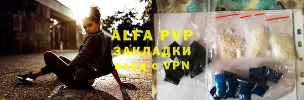 индика Вязники