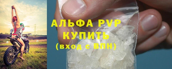 индика Вязники
